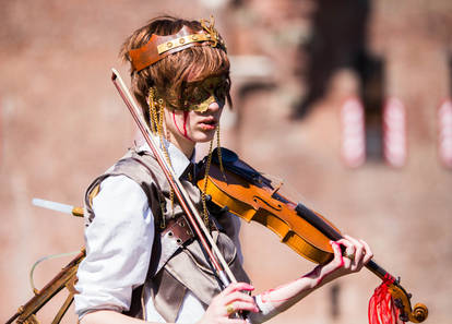 Elfia 2014 Haarzuilens: Violin Prince