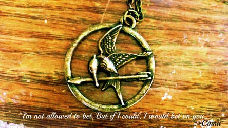 my mockingjay necklace-edit