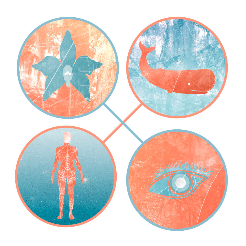 Evolution Chart Deviantart Evolution by austinz78 on DeviantArt