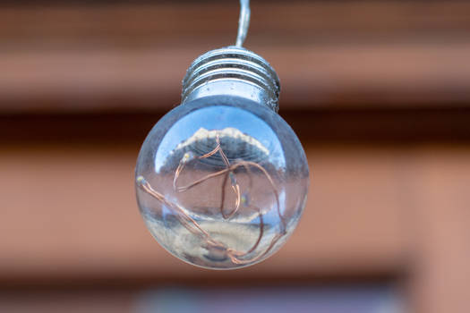 Bulb