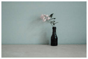Alone but not lonely.
