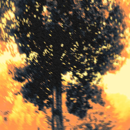 Pokolo Pokolo 1 - The Tree by thespecialist on DeviantArt