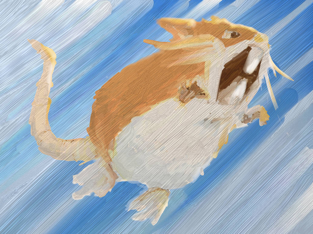 Raticate by thuaners on DeviantArt