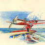 Air pirate planes Chaparral 'Riccio di mare' # 3