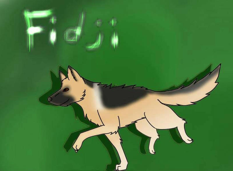 My dog Fidji