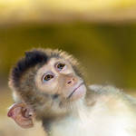 Hi...There is anybody ? by ChristineAmat