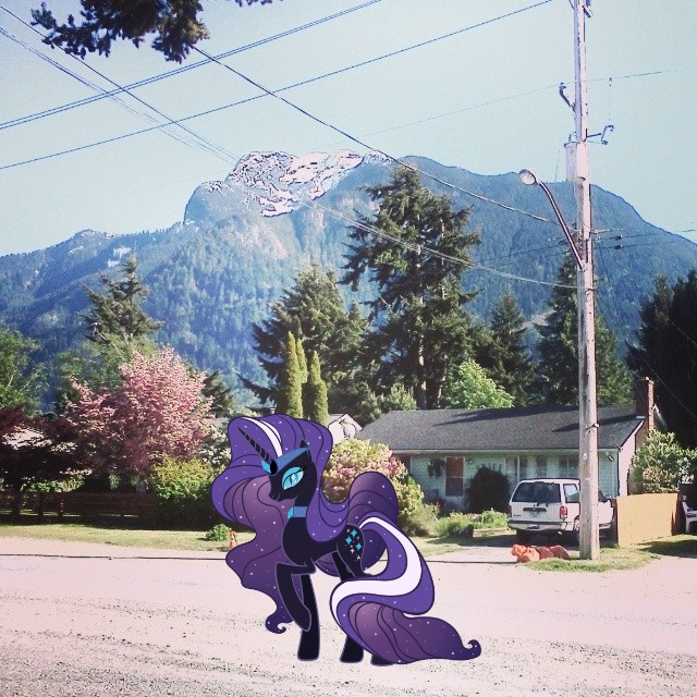 ::Nightmare Rarity IRL::