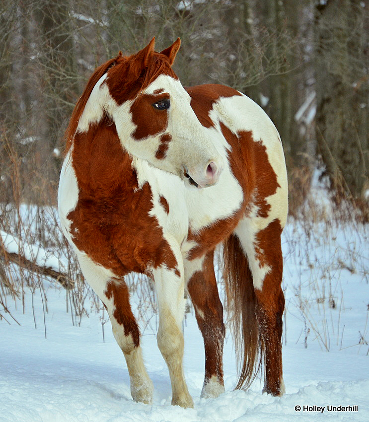 Posing.