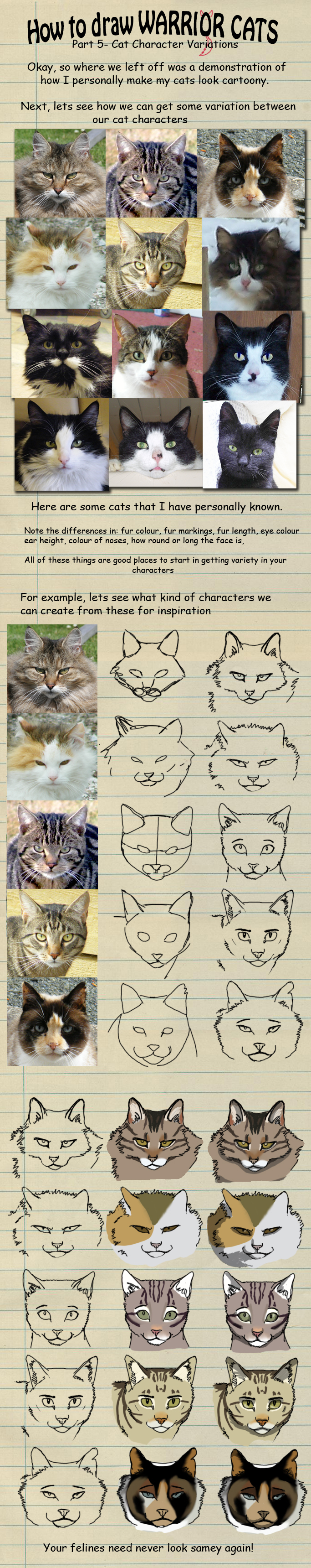 Warrior Cats Drawing - How To Draw Warrior Cats Step By Step