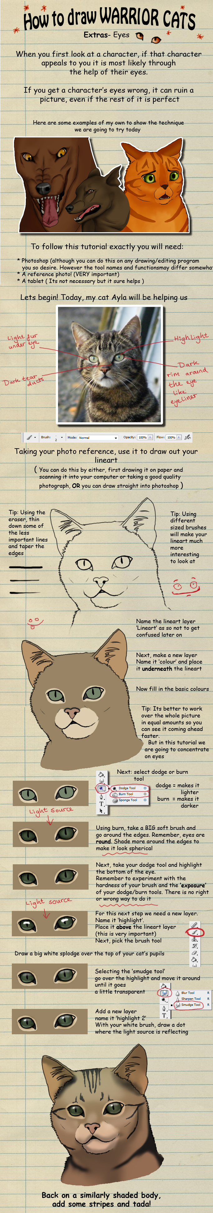 Warrior Cats Drawing - How To Draw Warrior Cats Step By Step