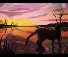 Sunset over Riverclan