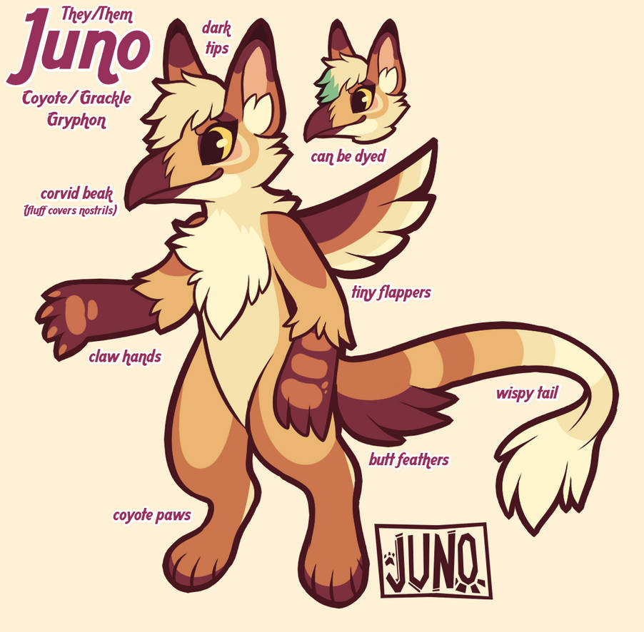 gryphon fursona ref by vintagecoyote on DeviantArt