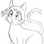 Luna Cat Sketch