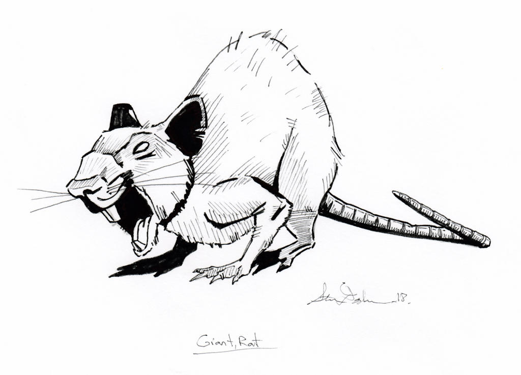 Grotesque Rat Drawing Giant Rat by stevedaskam on DeviantArt