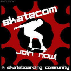 SkateCom competition entry
