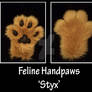 New feline handpaws