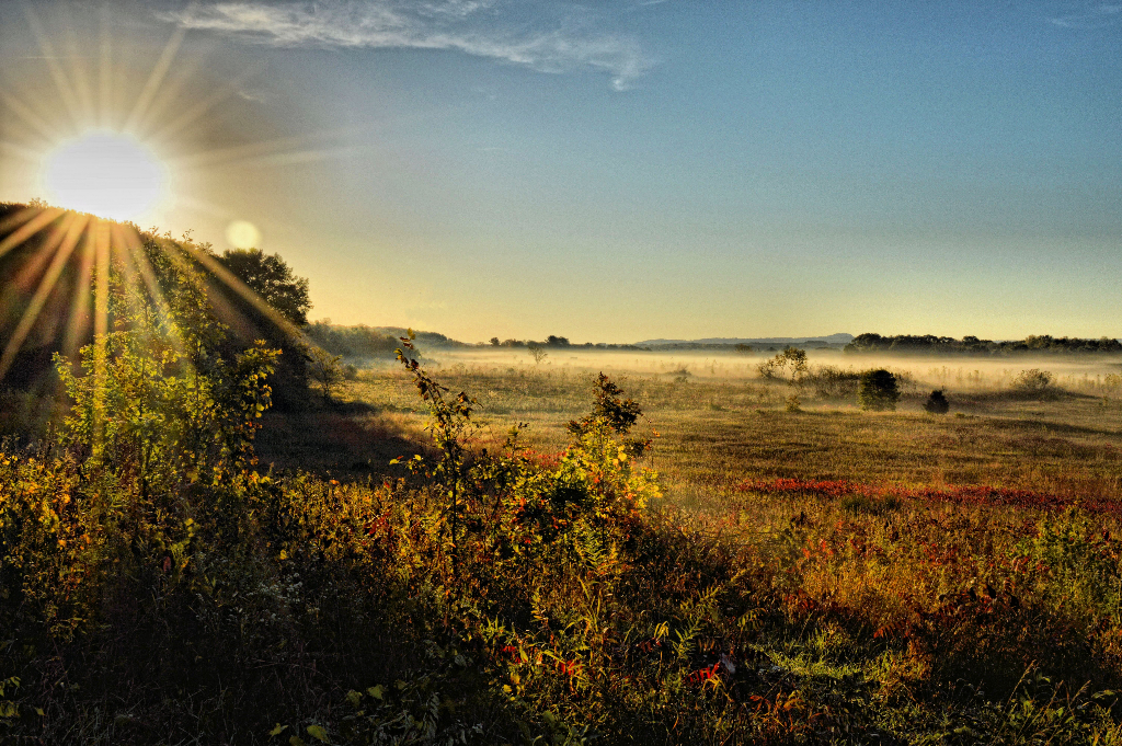 Morning on the Bog