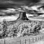 Devils tower I