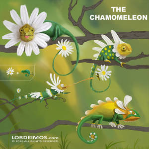 The Chamomeleon