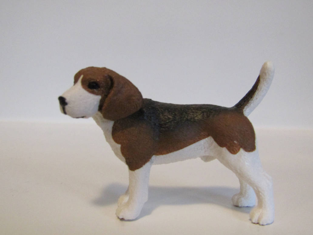 Gwaine's 2019 Companions Bello_by_tezzieh_dd295jf-pre.jpg?token=eyJ0eXAiOiJKV1QiLCJhbGciOiJIUzI1NiJ9.eyJzdWIiOiJ1cm46YXBwOjdlMGQxODg5ODIyNjQzNzNhNWYwZDQxNWVhMGQyNmUwIiwiaXNzIjoidXJuOmFwcDo3ZTBkMTg4OTgyMjY0MzczYTVmMGQ0MTVlYTBkMjZlMCIsIm9iaiI6W1t7ImhlaWdodCI6Ijw9OTYwIiwicGF0aCI6IlwvZlwvN2M1MGUxMTQtMDYyOC00YWUxLTlkM2YtMGE2YWIwMDJjNzg4XC9kZDI5NWpmLTVlZjQ4ZTkwLTk1MGUtNGQ4My05MDFkLWFkOGNlMDEwZmI1Yi5qcGciLCJ3aWR0aCI6Ijw9MTI4MCJ9XV0sImF1ZCI6WyJ1cm46c2VydmljZTppbWFnZS5vcGVyYXRpb25zIl19