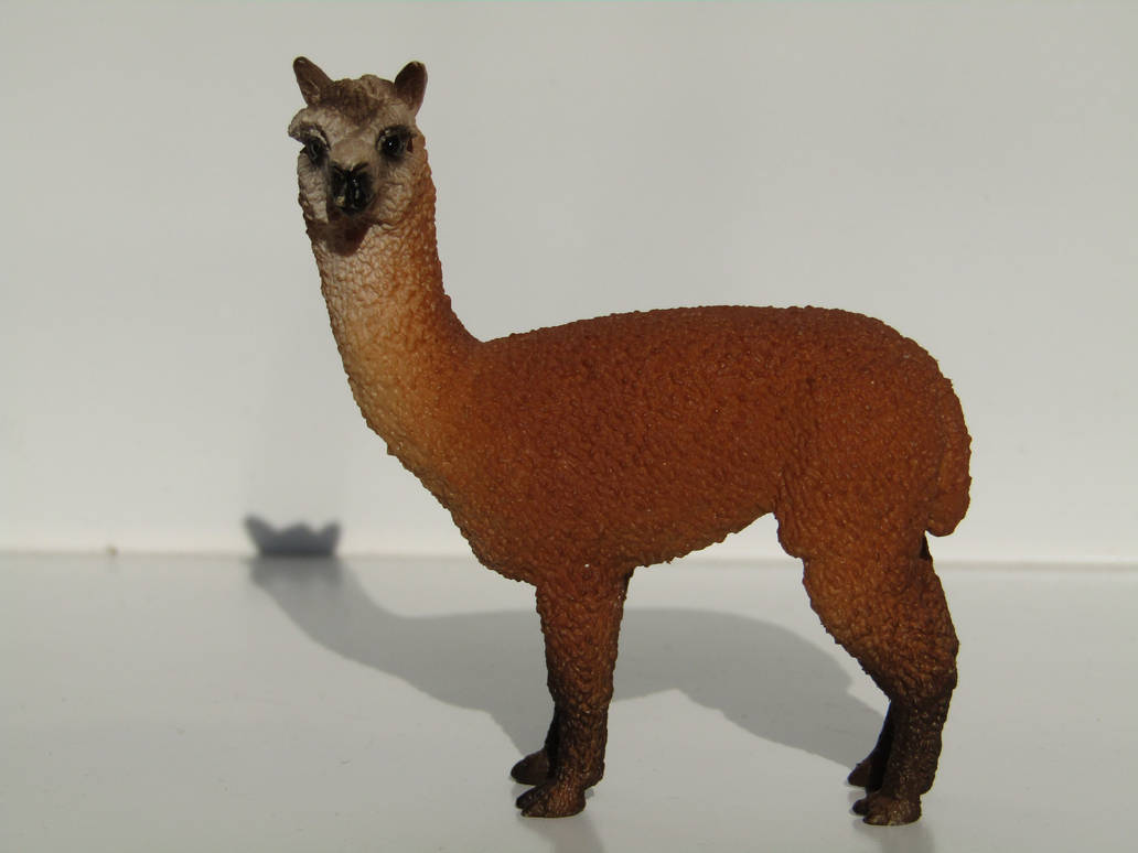 Gwaine's 2019 Companions Rick_by_tezzieh_ddf3wxb-pre.jpg?token=eyJ0eXAiOiJKV1QiLCJhbGciOiJIUzI1NiJ9.eyJzdWIiOiJ1cm46YXBwOjdlMGQxODg5ODIyNjQzNzNhNWYwZDQxNWVhMGQyNmUwIiwiaXNzIjoidXJuOmFwcDo3ZTBkMTg4OTgyMjY0MzczYTVmMGQ0MTVlYTBkMjZlMCIsIm9iaiI6W1t7ImhlaWdodCI6Ijw9OTYwIiwicGF0aCI6IlwvZlwvN2M1MGUxMTQtMDYyOC00YWUxLTlkM2YtMGE2YWIwMDJjNzg4XC9kZGYzd3hiLWY2OTdlN2NhLThmZmItNGVjZi04YzY4LWFjN2QxYTVjYjc3Yy5qcGciLCJ3aWR0aCI6Ijw9MTI4MCJ9XV0sImF1ZCI6WyJ1cm46c2VydmljZTppbWFnZS5vcGVyYXRpb25zIl19