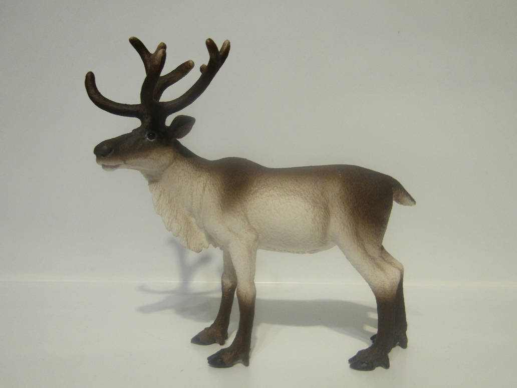 Gwaine's 2019 Companions Rudolph_by_tezzieh_ddn6stj-pre.jpg?token=eyJ0eXAiOiJKV1QiLCJhbGciOiJIUzI1NiJ9.eyJzdWIiOiJ1cm46YXBwOjdlMGQxODg5ODIyNjQzNzNhNWYwZDQxNWVhMGQyNmUwIiwiaXNzIjoidXJuOmFwcDo3ZTBkMTg4OTgyMjY0MzczYTVmMGQ0MTVlYTBkMjZlMCIsIm9iaiI6W1t7ImhlaWdodCI6Ijw9OTYwIiwicGF0aCI6IlwvZlwvN2M1MGUxMTQtMDYyOC00YWUxLTlkM2YtMGE2YWIwMDJjNzg4XC9kZG42c3RqLTA3MzEzN2I3LTg4YTAtNGE3OC05YzYyLWFkMmM4NzYxYjhmMi5qcGciLCJ3aWR0aCI6Ijw9MTI4MCJ9XV0sImF1ZCI6WyJ1cm46c2VydmljZTppbWFnZS5vcGVyYXRpb25zIl19