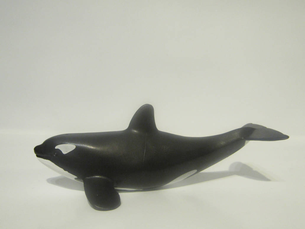 Gwaine's 2019 Companions Tilikum_by_tezzieh_ddn6vm5-pre.jpg?token=eyJ0eXAiOiJKV1QiLCJhbGciOiJIUzI1NiJ9.eyJzdWIiOiJ1cm46YXBwOjdlMGQxODg5ODIyNjQzNzNhNWYwZDQxNWVhMGQyNmUwIiwiaXNzIjoidXJuOmFwcDo3ZTBkMTg4OTgyMjY0MzczYTVmMGQ0MTVlYTBkMjZlMCIsIm9iaiI6W1t7ImhlaWdodCI6Ijw9OTYwIiwicGF0aCI6IlwvZlwvN2M1MGUxMTQtMDYyOC00YWUxLTlkM2YtMGE2YWIwMDJjNzg4XC9kZG42dm01LWY3ZjA2MjZiLTllYTMtNDY4Yi1iNWYxLTlmYjM1ZGJkMTE2Ny5qcGciLCJ3aWR0aCI6Ijw9MTI4MCJ9XV0sImF1ZCI6WyJ1cm46c2VydmljZTppbWFnZS5vcGVyYXRpb25zIl19