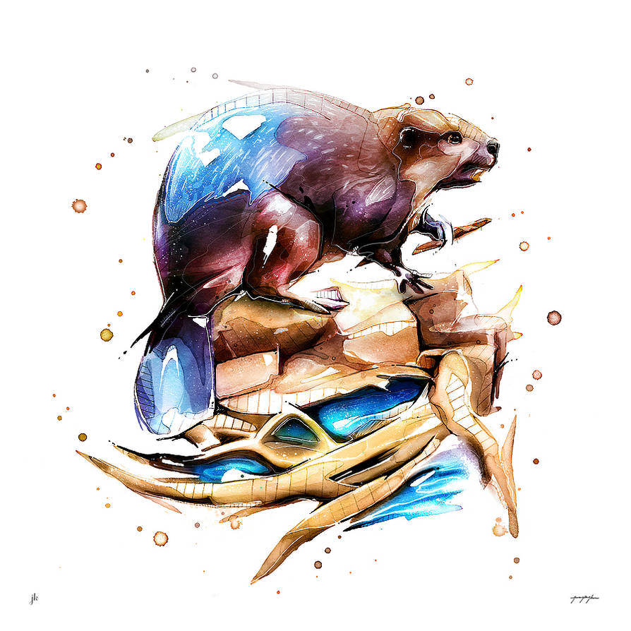 Beaver by jeremykyleart on DeviantArt