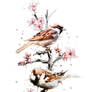 Spring Sparrows