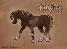 Pirate reference