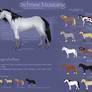 Snow Mustang -breedsheet-