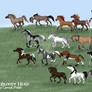 The Bloody Herd