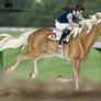 Familiar Race Track