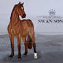 RPS Swan Song