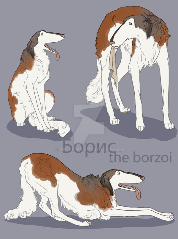 Boris the Borzoi