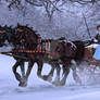 Happy New Year on a snowy day