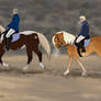 Dressage with Damon XP