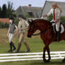 Royale Rosendal xD