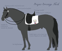 Olympics 2013-Dressage Tack