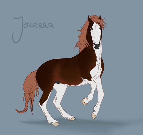 Flash Auction - Jazeera