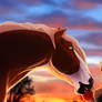 This one is for you -heart-