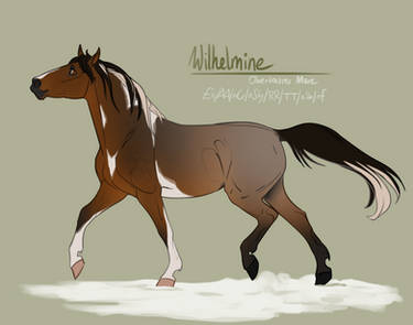 Obertaurer Import - Wilhelmine