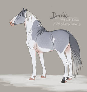 Obertaurer Import - Derek