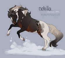 Notella - Obertaurer Import