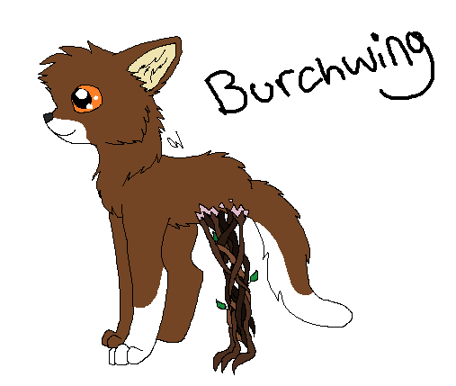 Burchwing