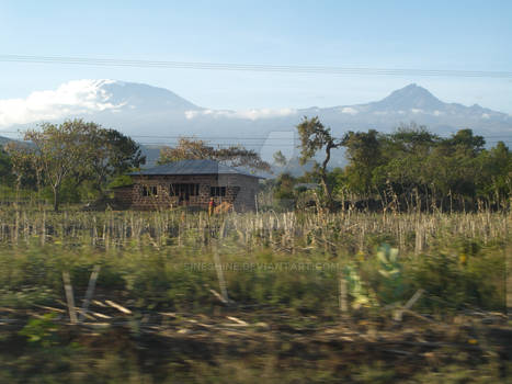 Kilimanjaro