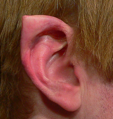 Silicone Elf Ears