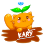 Karykary