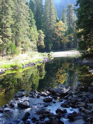 Yosemite Valley Creek in the Fall