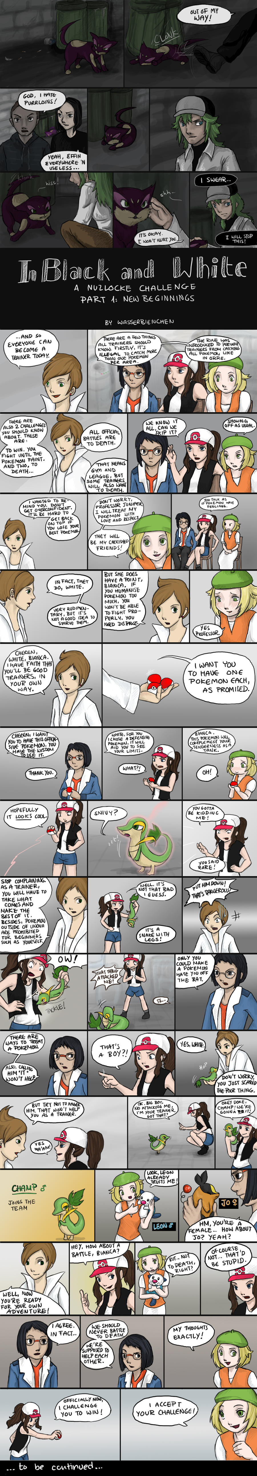 IBAW 1: New Beginnings